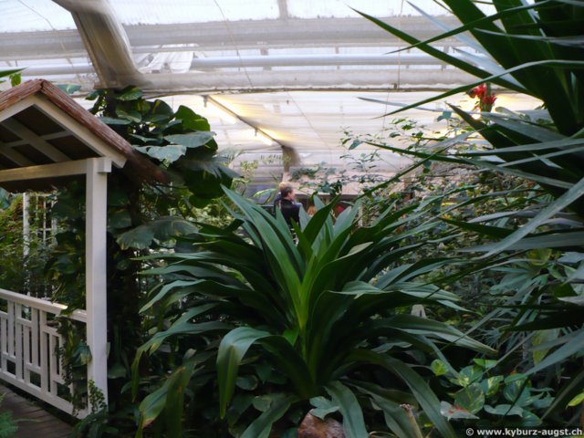 2008.11.23-koberngondorf-027.jpg