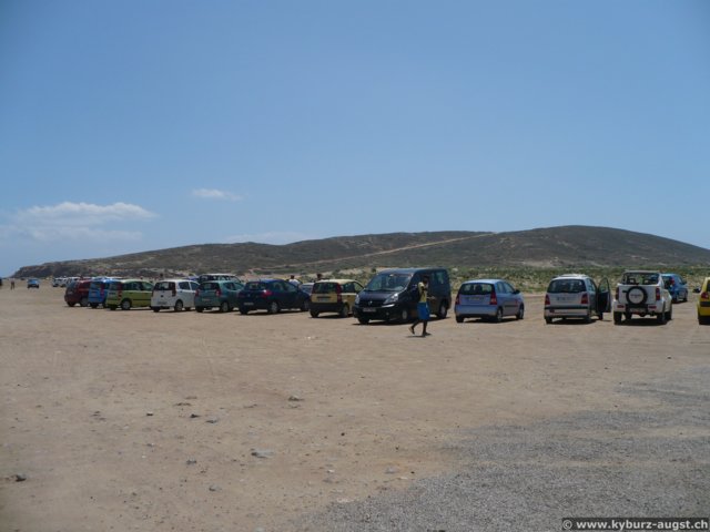 2009.06.04-pefkosprassonissi-08.jpg