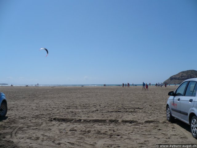 2009.06.04-pefkosprassonissi-16.jpg