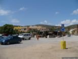 2009.06.04-pefkosprassonissi-06.jpg