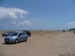 2009.06.04-pefkosprassonissi-09.jpg