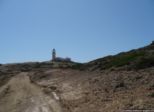 2009.06.04-pefkosprassonissi-21.jpg