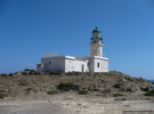 2009.06.04-pefkosprassonissi-24.jpg