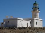 2009.06.04-pefkosprassonissi-25.jpg