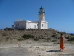 2009.06.04-pefkosprassonissi-31.jpg