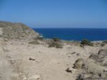 2009.06.04-pefkosprassonissi-48.jpg