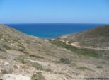 2009.06.04-pefkosprassonissi-49.jpg