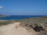 2009.06.04-pefkosprassonissi-58.jpg