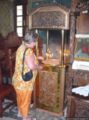 2009.06.04-pefkosprassonissi-67.jpg