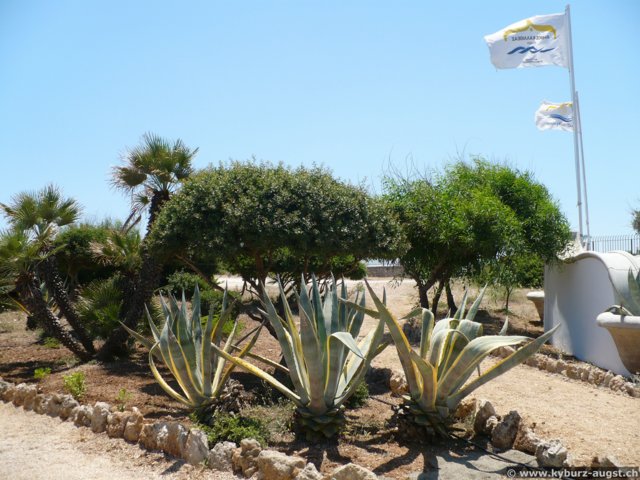 2009.06.21-thermenkalithea-048.jpg