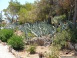 2009.06.21-thermenkalithea-018.jpg