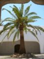 2009.06.21-thermenkalithea-030.jpg