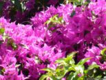 2009.06.21-thermenkalithea-051.jpg