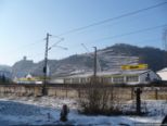 2009.01.10-kobern-4.jpg