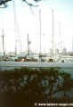 1985-Stadt-004.jpg (57707 Byte)