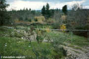1994.12-Oliven-002.jpg (156799 Byte)