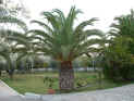 2004.10.21-Mouschou-007.JPG (146930 Byte)