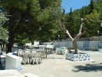 2003.06.24-ProfAmos-003.JPG (133038 Byte)