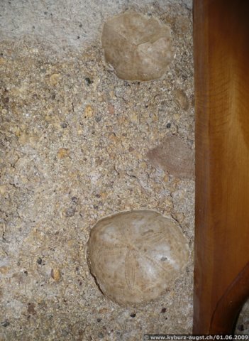 2009.06.01-lelis-20.jpg