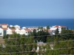 2009.06.03-tavernelelis-17.jpg