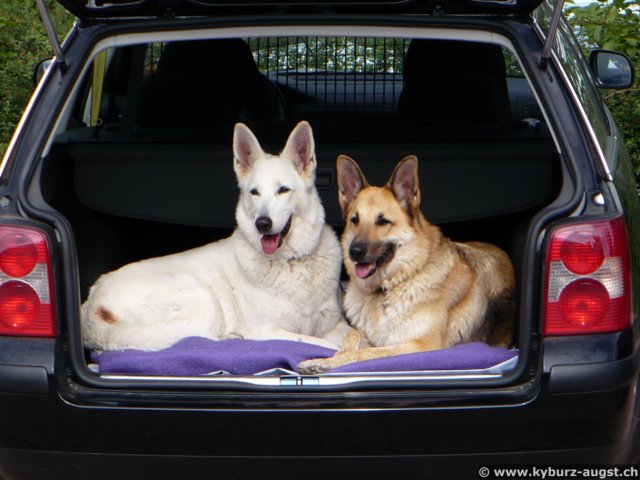 2007.08.31-breisach-004.jpg